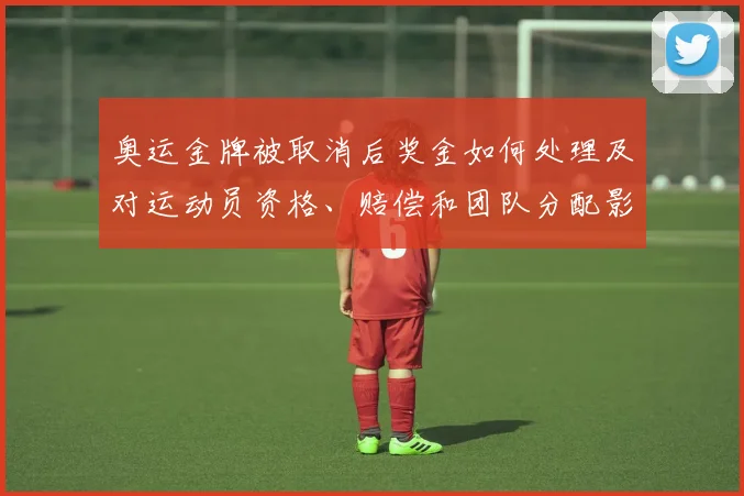 奥运金牌被取消后奖金如何处理及对运动员资格、赔偿和团队分配影响