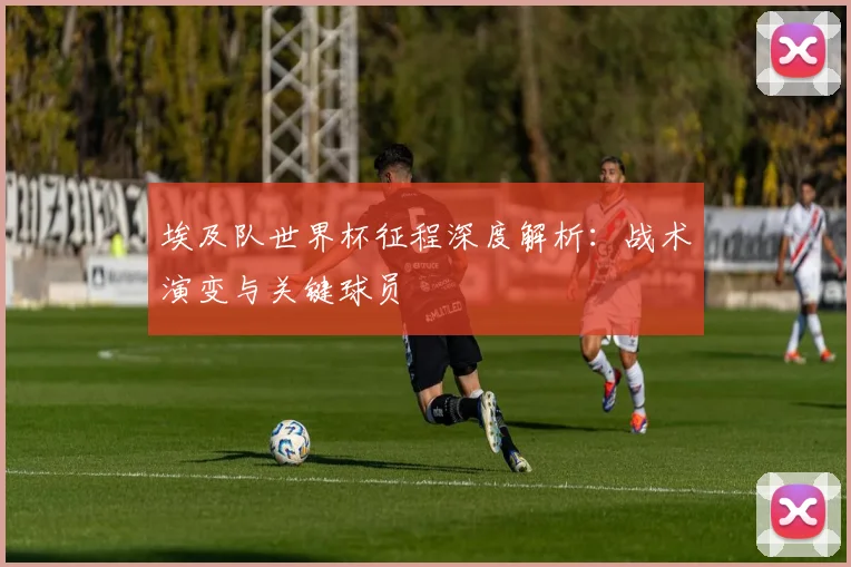 埃及队世界杯征程深度解析：战术演变与关键球员