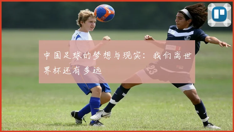 中国足球的梦想与现实:我们离世界杯还有多远
