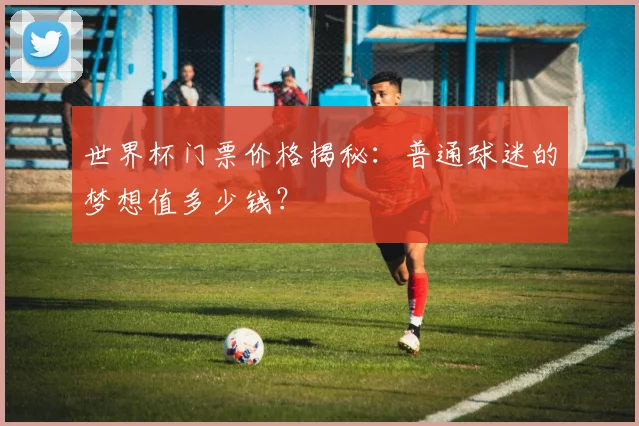 世界杯门票价格揭秘:普通球迷的梦想值多少钱?