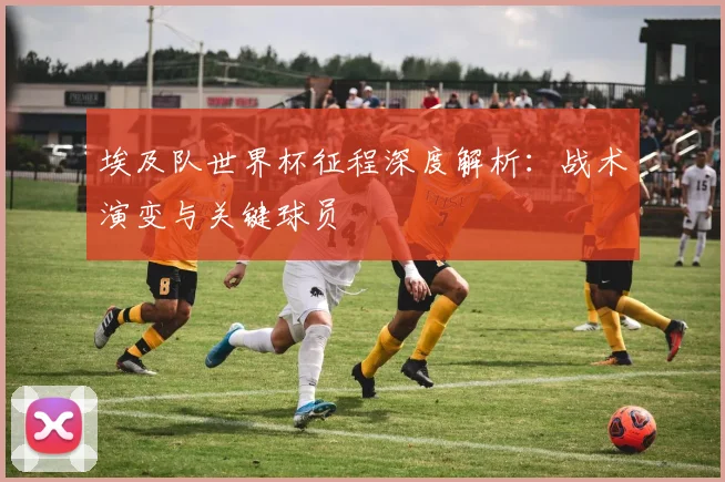 埃及队世界杯征程深度解析：战术演变与关键球员