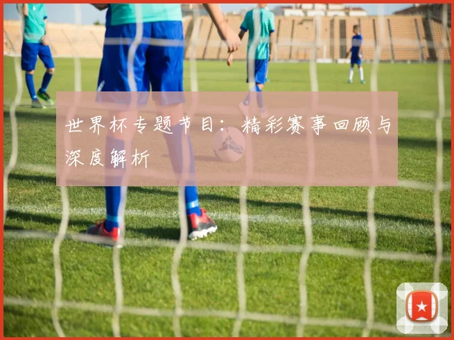 世界杯专题节目：精彩赛事回顾与深度解析