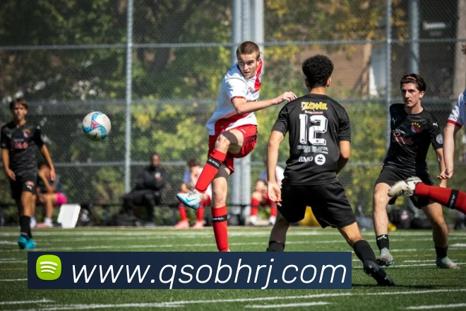 九游官方正版入口服务体系